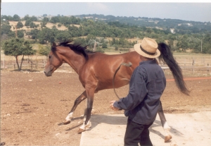 CiamarraAlfredo (18).jpg